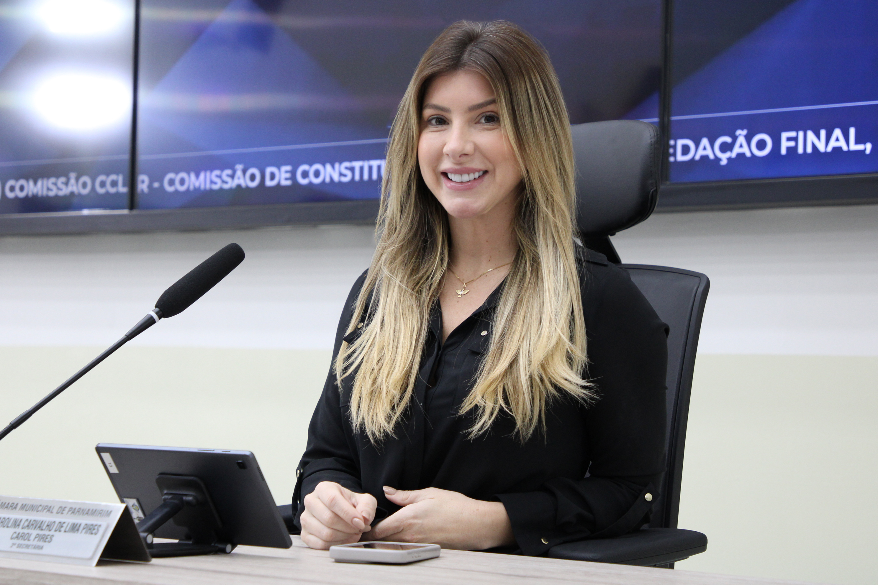 Câmara realiza 117ª sessão ordinária de 2024